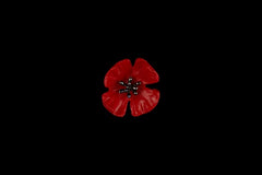 Michael Michaud Poppy Pin