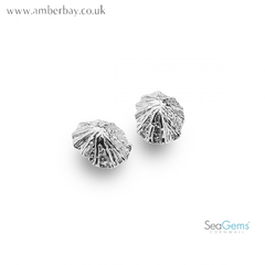 Sea Gems Sterling Silver Limpet Stud Earring