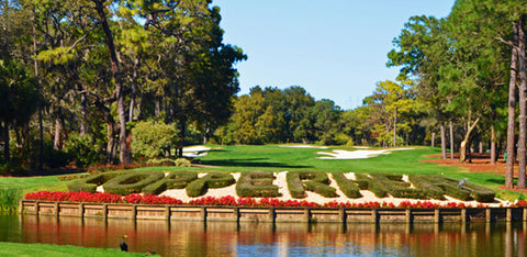 Innisbrook Resort - Copperhead Course, Palm Harbor, FL