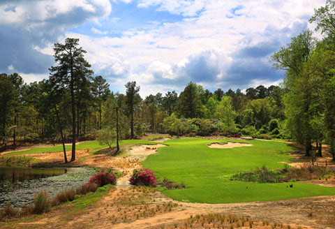 Rent golf clubs in Pinehurst