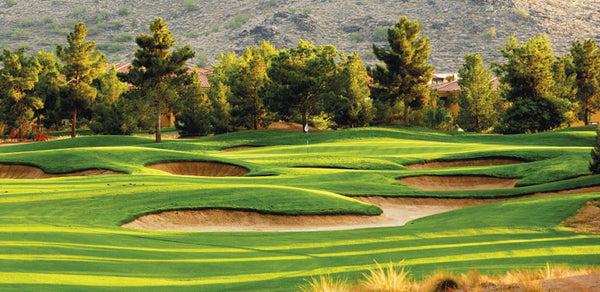 Raven Golf Club Arizona