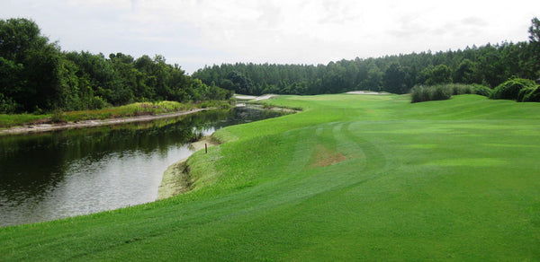 TPC Tampa Bay Tampa Florida