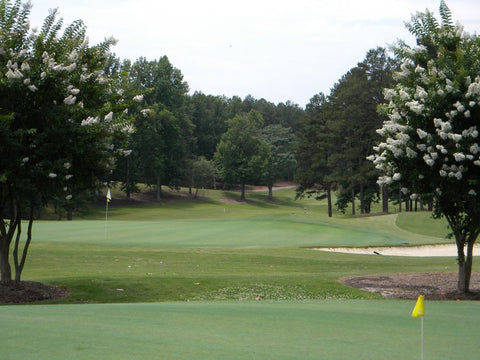 Rent golf clubs in Greenville