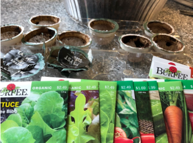 tayst coffee pods being used to plant seeds