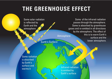 diagram of the greenhouse effect