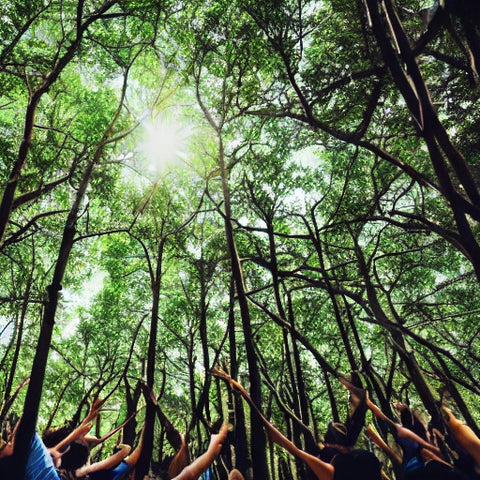 People celebrating compostable products in the forest