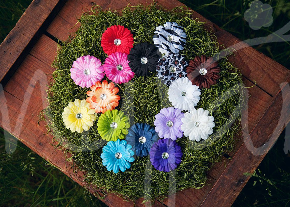 small daisy hair clips