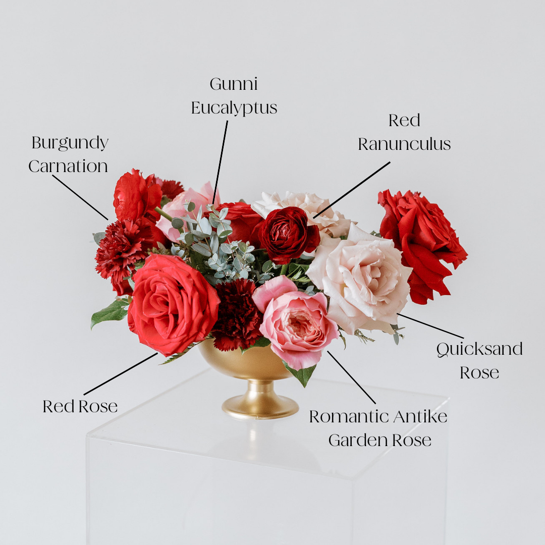 Burgundy Minerva Fancy Carnations