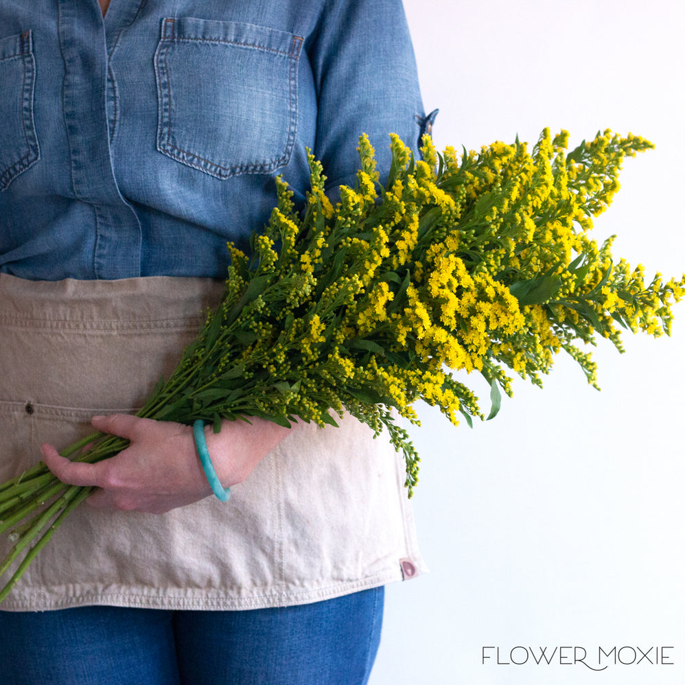 Yellow Flowers | Bulk Fresh Wedding Flowers Online | Flower Moxie