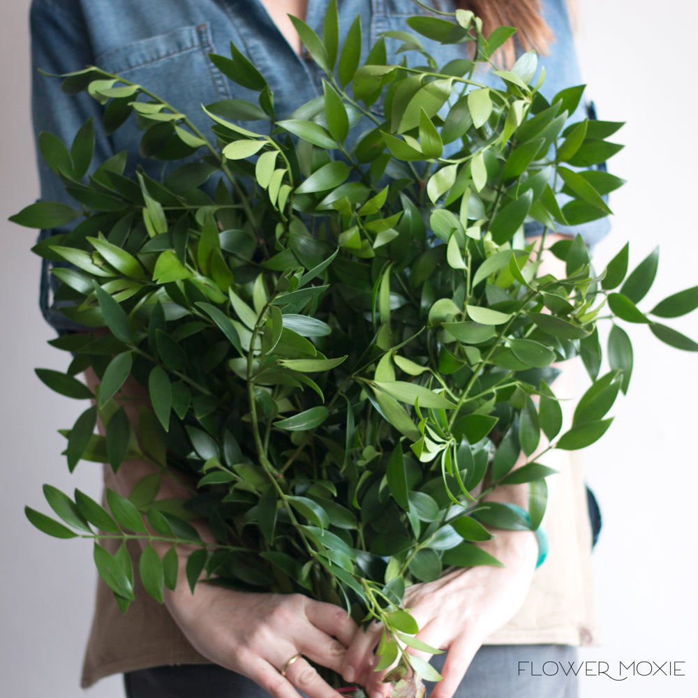 Nagi Greenery | Bulk Fresh Wedding Greenery- Flower Moxie