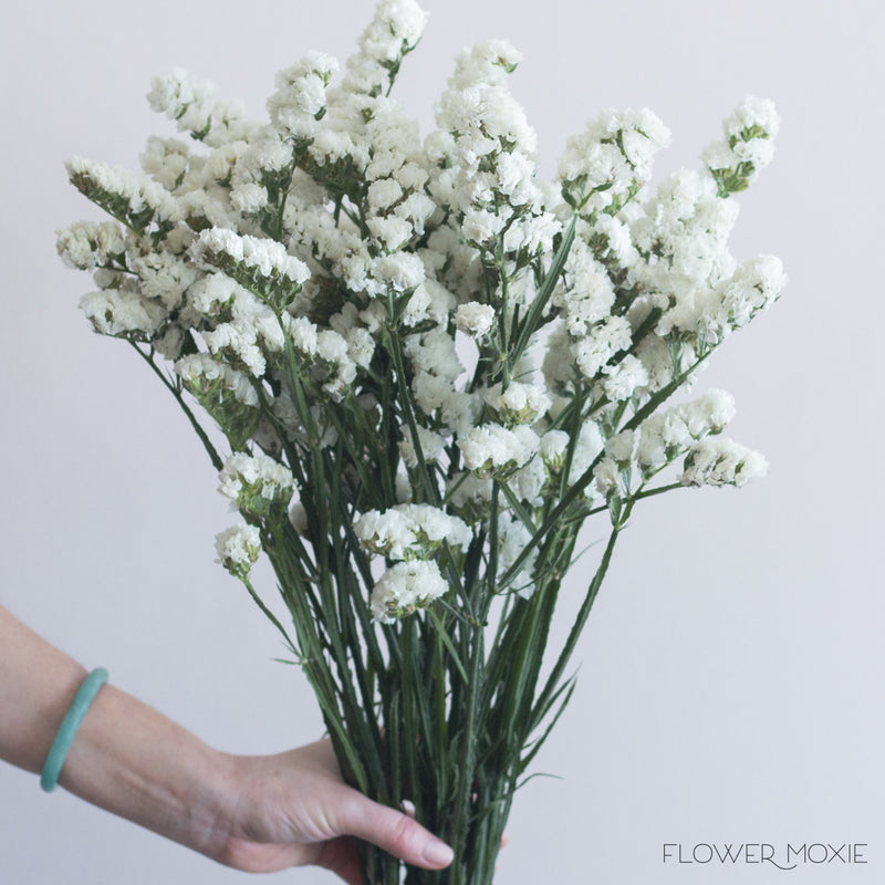 white limonium flower