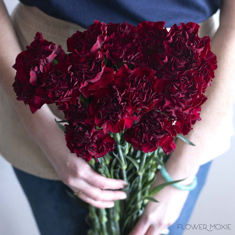 Burgundy Carnation Flower | DIY Wedding Flowers | Flower Moxie
