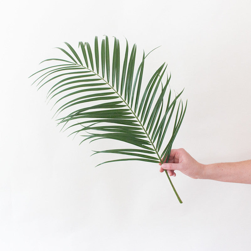 Robellini Palm Greenery Diy Wedding Flowers Flower Moxie