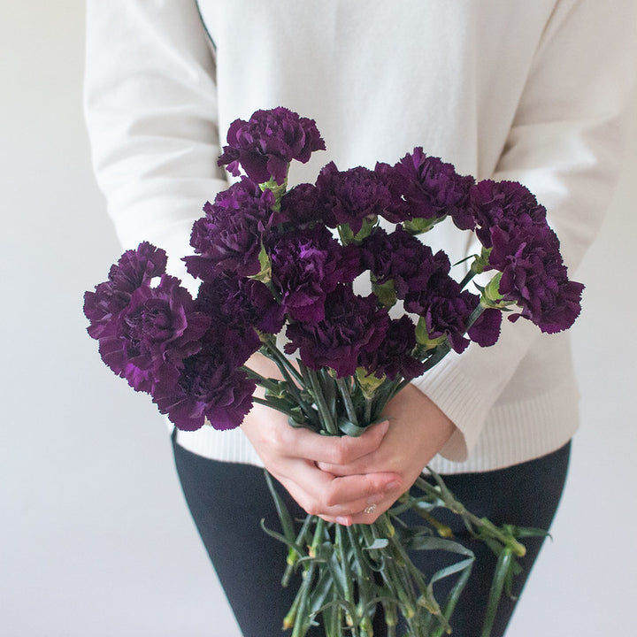 Deep Purple Moonvista Carnation Flowers | Flower Moxie DIY