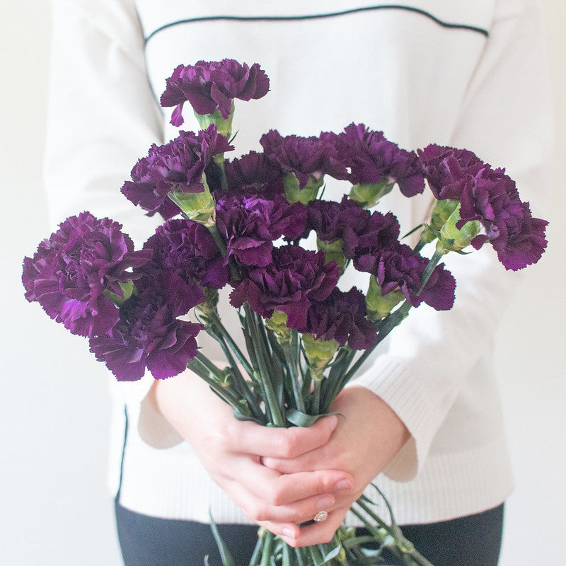 Deep Purple Moonvista Carnation Flowers | Flower Moxie DIY