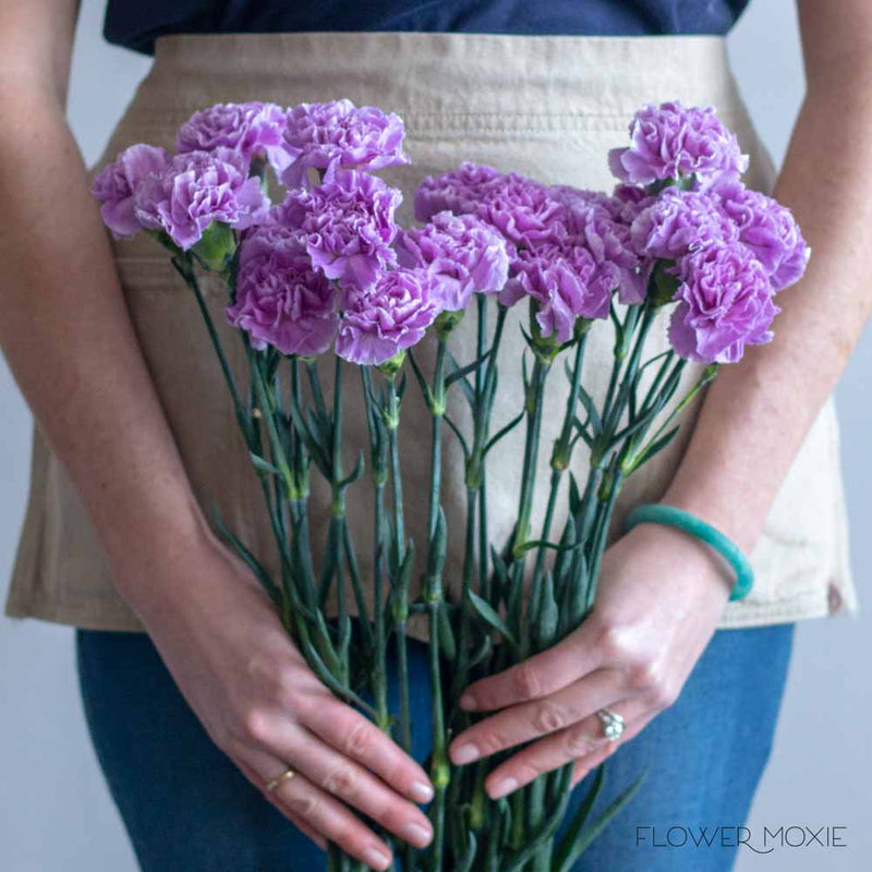 Lavender Carnations | Bulk DIY Wedding Flowers | Flower Moxie