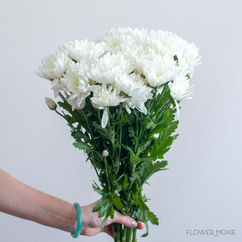 Elektrisk Konvertere dommer White Cushion Pom Flower | DIY Wedding Flowers | Flower Moxie