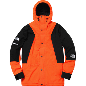 the north face mountain lite jacket