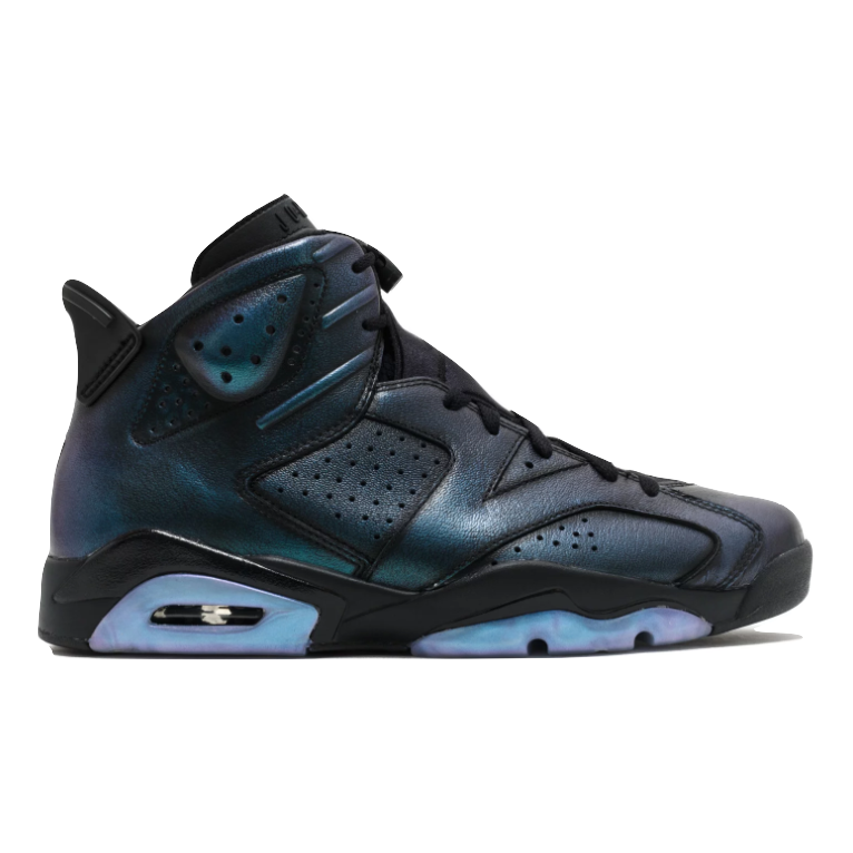 holographic jordan 6