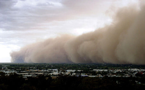 emergency dust mask