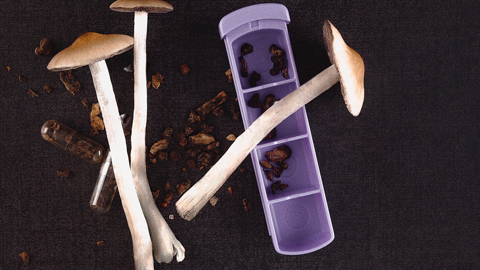 The Art Of Microdosing Medicinal Mushrooms