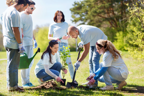 People planting trees