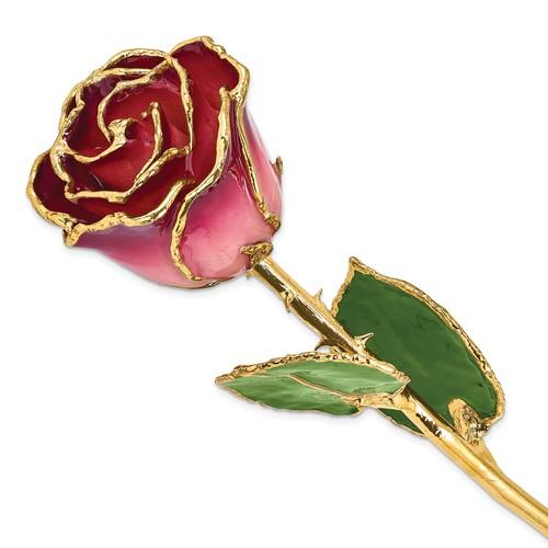 Pink and Burgundy 24k Gold Dipped Rose – Nespoli Jewelers