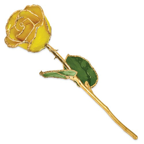 24k Gold Dipped Roses