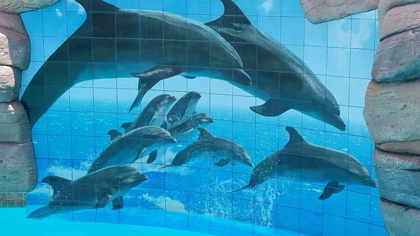 Artistic Mural in Pool