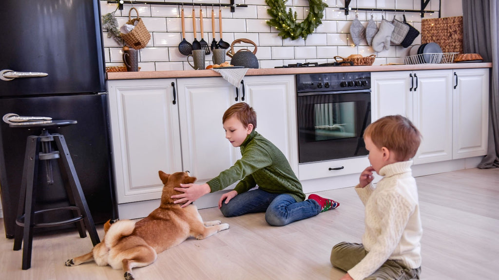 Two boys and a dog playing in the kitchen