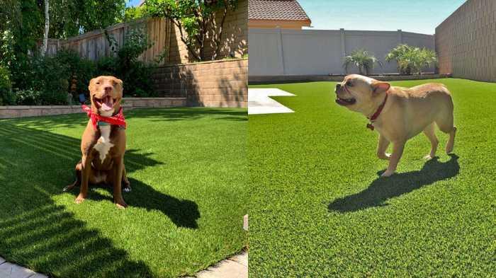 artificial grass for dogs