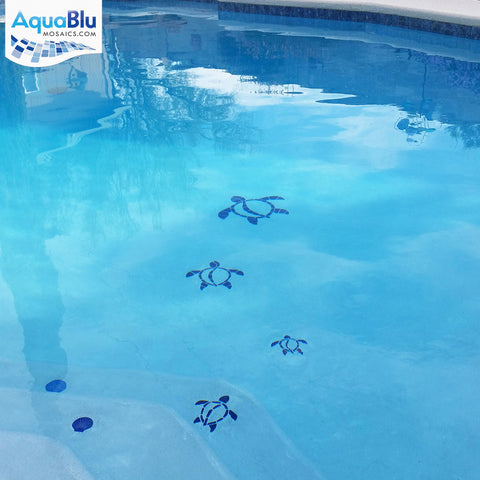 TISBLUL Islander Turtle - blue pool mosaic customer application photo