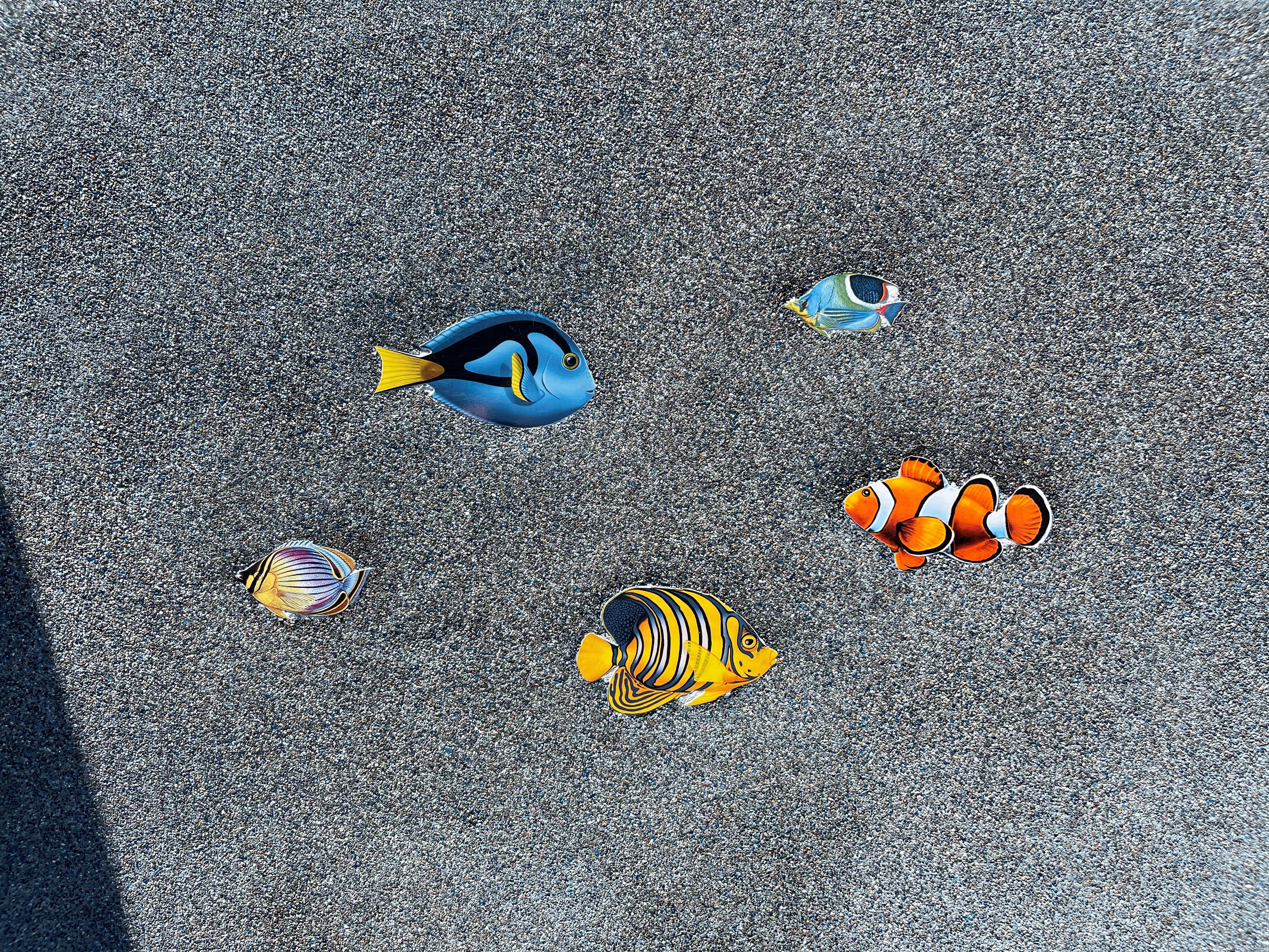 Fish pool mosaic