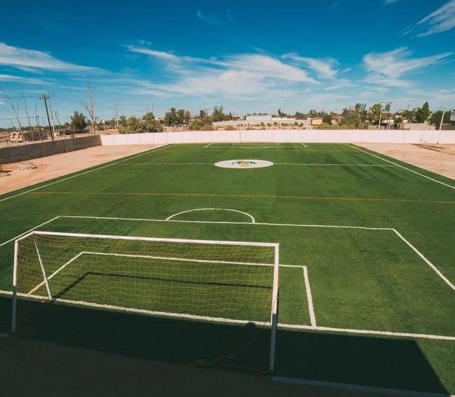 artificial grass for sports