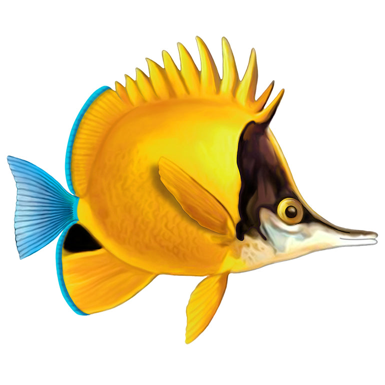 tile fish pics clipart