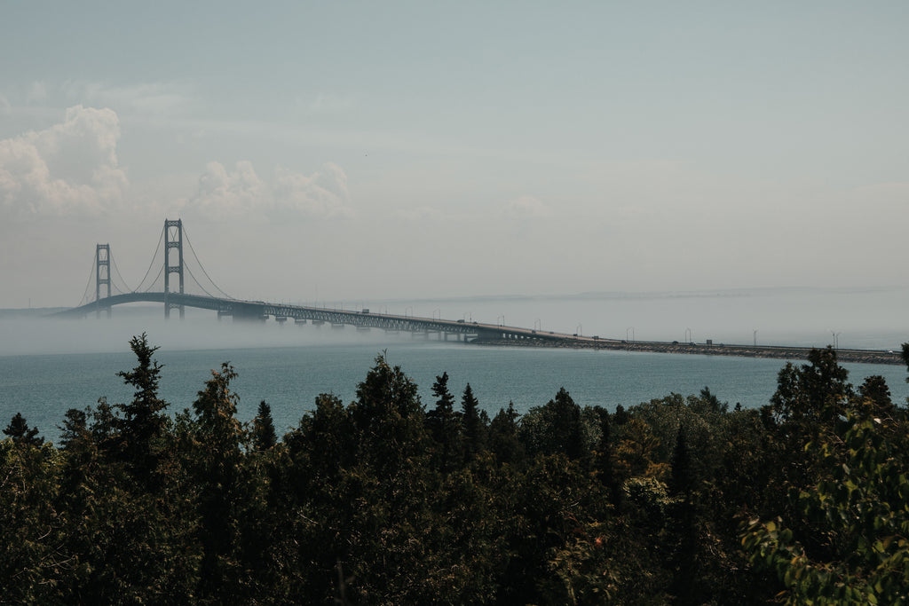 Mackinac Bridge View