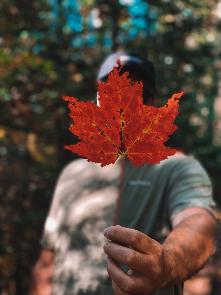 perfect leaf