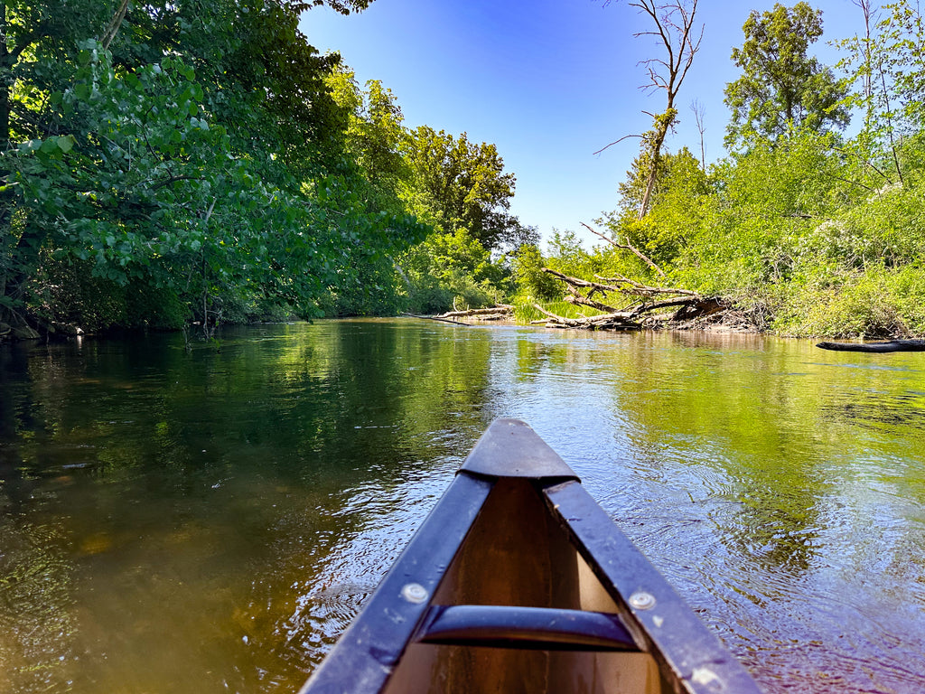 canoeing the chippewa river