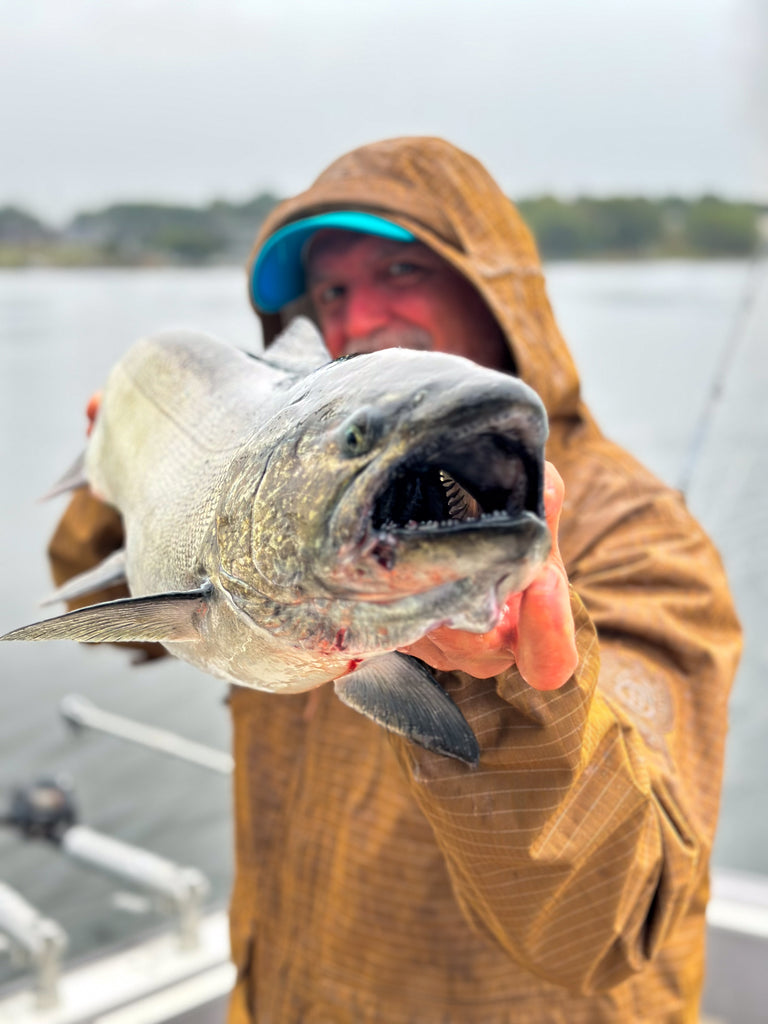 Lake Michigan salmon fishing