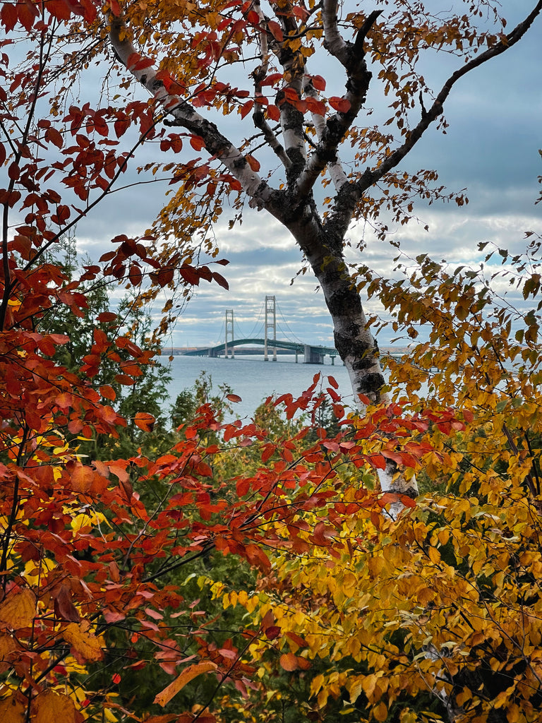 Mackinac bridge fall color