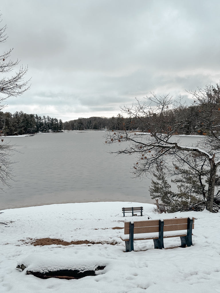 Lost Lake Ludington State Park