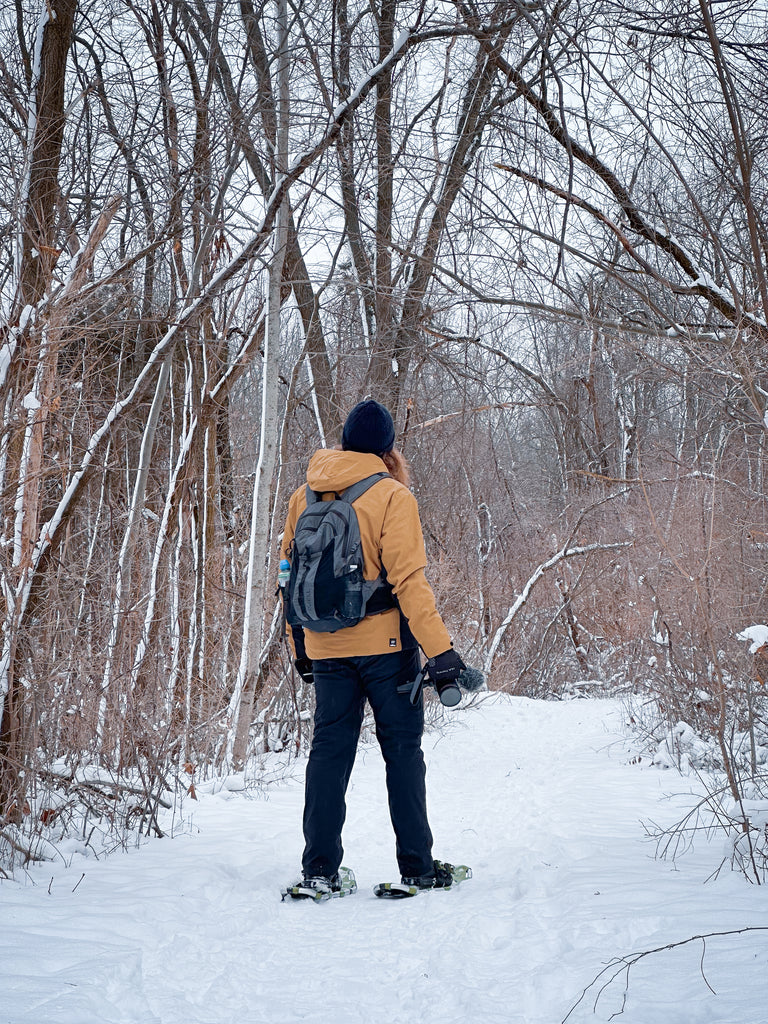 Waterloo Recreation Area Snowshoeing