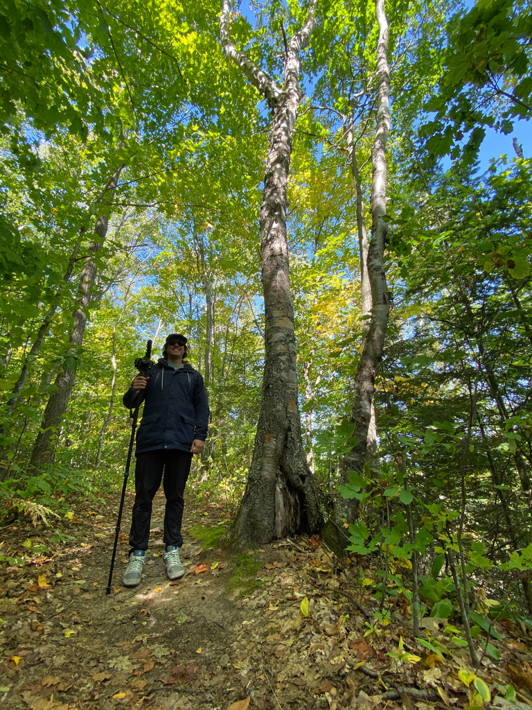 Michigan Fall Bucket List