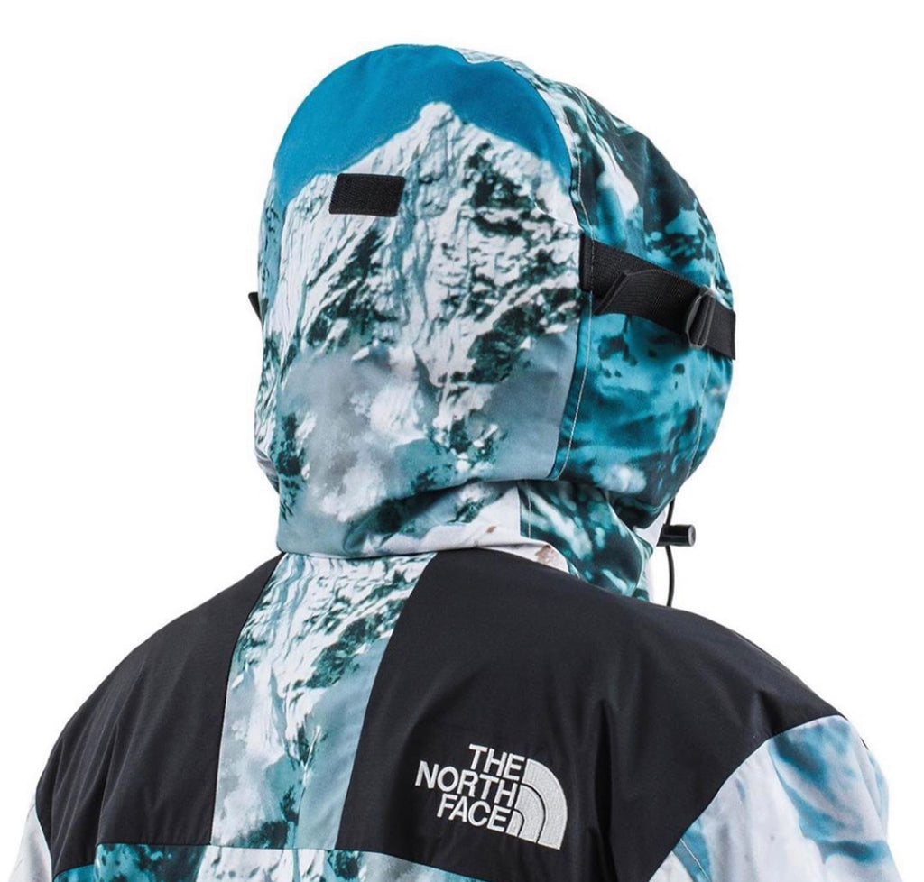 north face mountain print jacket