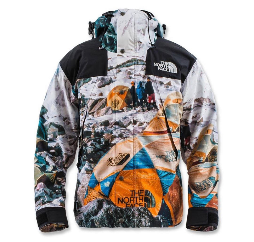 north face jacket mountain print