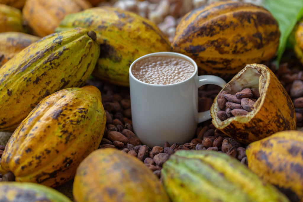 Cacao - Mexico