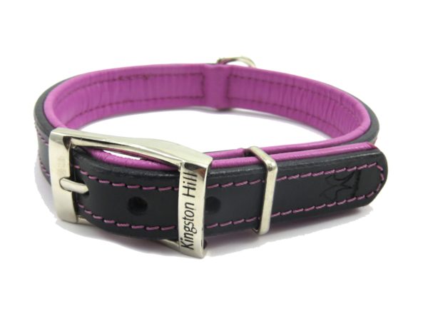 dog accessories uk