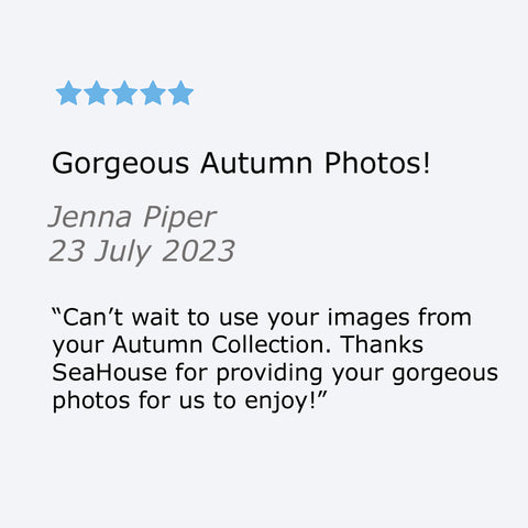 Happy Customer Five Star Review on Photo Stock