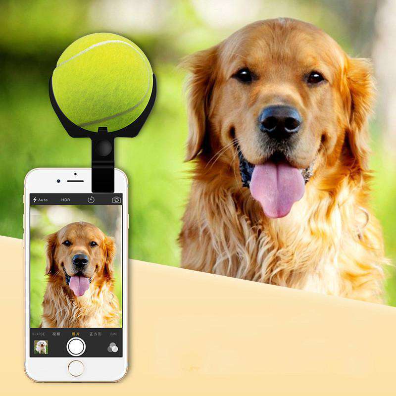 Selfie Ball for Pets - Life is complete with Dogs
