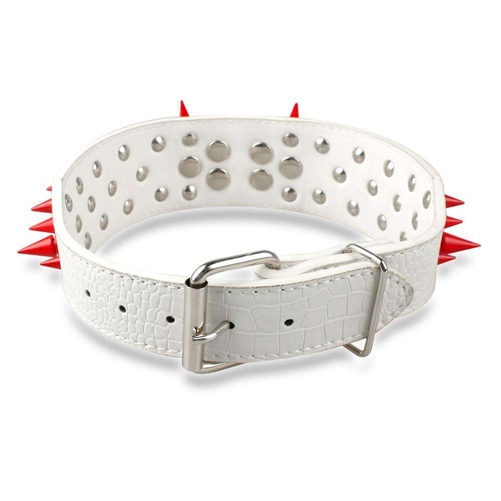 Leather Dog Spike Collars – Life is complete with Dogs